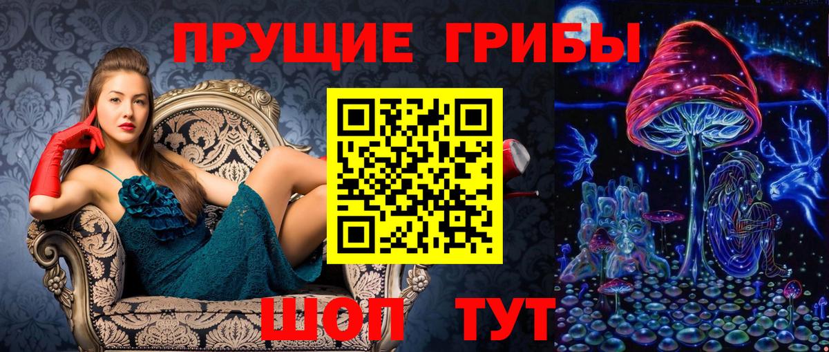 Сокол  Галлюциногенные грибы Psilocybe  купить наркотик  Псилоцибиновые грибы прущие грибы  Вход с VPN 