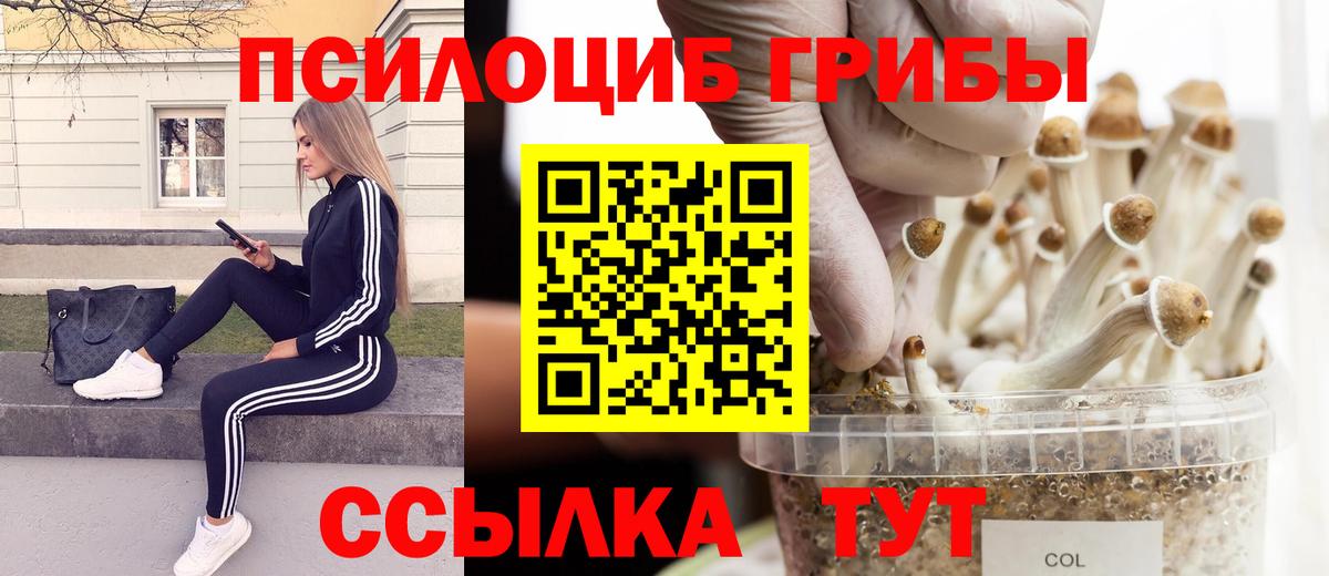 Галлюциногенные грибы MAGIC MUSHROOMS Сокол