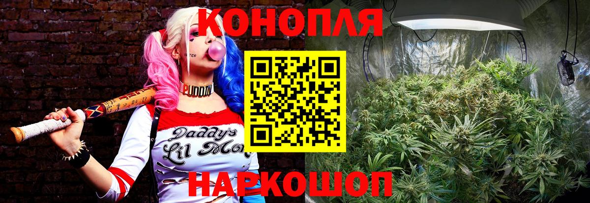 Сокол  Шишки марихуана MAZAR  Каннабис VHQ  Марихуана Ganja  Вход с VPN 